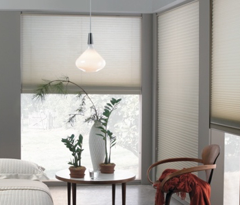 cellular shades in Las Vegas home